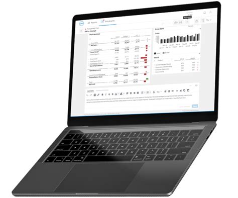 Image result for SAP Reporting Software