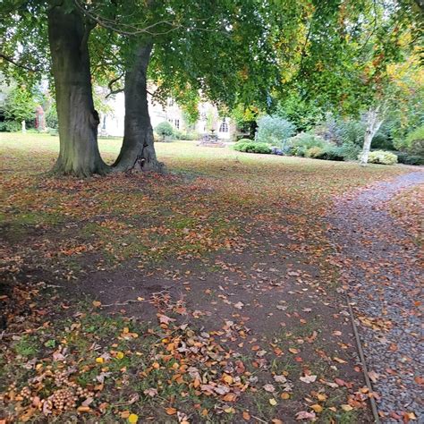 Apple Blossom Yurt At Walcot Hall Estate (Alkborough) - All You Need to ...