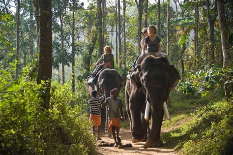 20 Breathtaking Places To Visit In Thekkady | Kerala’s Gem