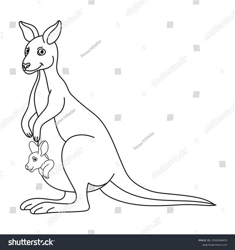 Kangaroo Outline