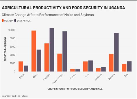 Voice of Lango - Voice of Truth