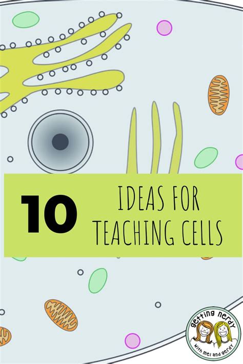 Tutorials for Cells 的图像结果