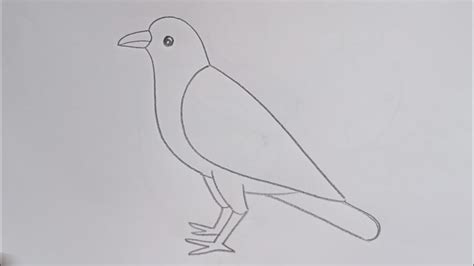 Image result for Crow Drawing Tutorial