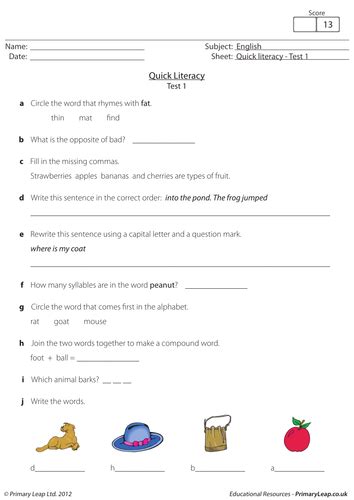 Literacy Test Example 的图像结果