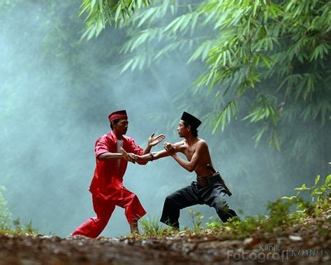 Image result for Silat Boxing
