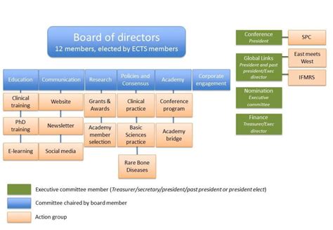 Committee Structure Examples 的图像结果