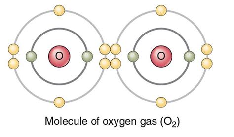 O2 Polar 的图像结果