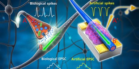 How Are Computer Chips Manufactured 的图像结果