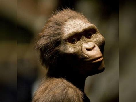 Six things you must know about Lucy, the oldest discovered hominid