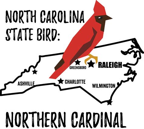 North Carolina State Bird - My Store