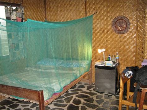 KIWI DIVE RESORT (Siquijor Island) - Specialty Resort Reviews & Photos ...