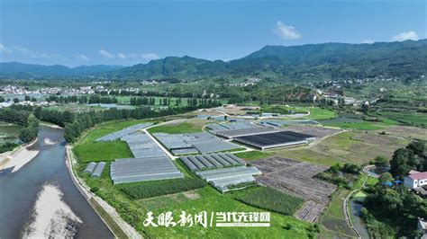 Local Produce FY6 的图像结果