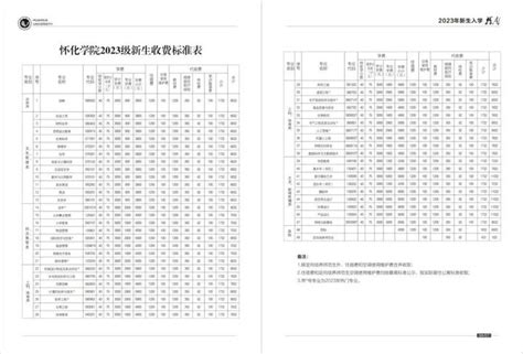 最美家乡推荐官之“最美校园“|怀化学院：砥砺跋涉 岁月流金 - 纵观 - 新湖南