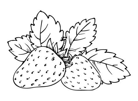 Coloring Pictures Of Strawberries