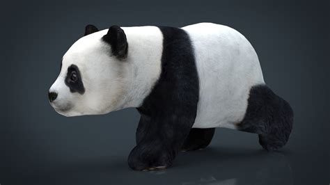 Image result for Panda3D Python