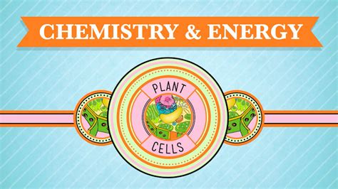 Image result for Crash Course Cell Structure