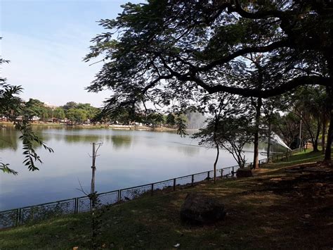 PARQUE MUNICIPAL FABIO DA SILVA PRADO (2026) All You Need to Know ...