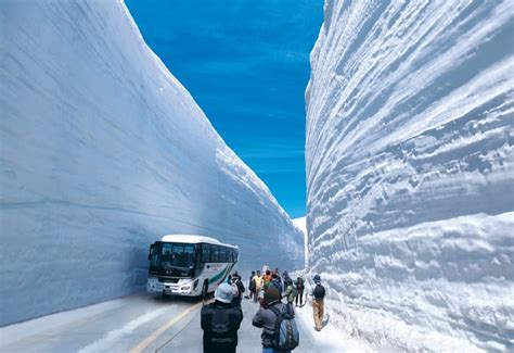 Explore Tateyama Kurobe Alpine Route in Japan | JNTO India