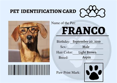 Pet Identification Card