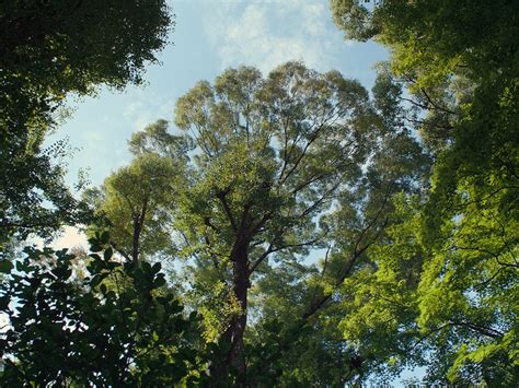 Image result for Perfect Days Criterion