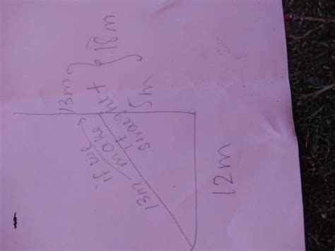 A tree is broken at the height of 5m from the ground and its top ...