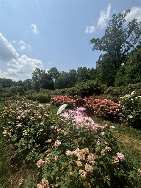 Fun Things to Do in Arlington: Bon Air Rose Garden & Park - The ...