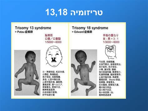 Image result for CGH Array Tutorial