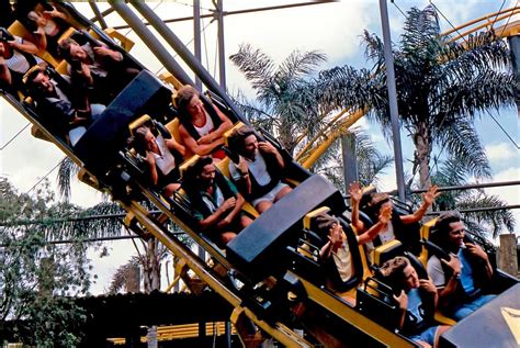 Image result for Python Busch Gardens