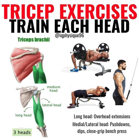 Triceps Workout: 3 Superset Workout Routine For Killer Triceps ...