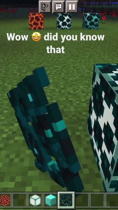 Image result for Minecaft Java Hack