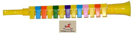Buy Vibgyor Vibes™ Flute/Trumpet Shaped 13 Notes Melodica Musical Toy ...