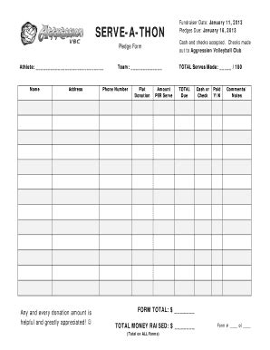 IL Aggression Volleyball Club Serve-a-Thon 2013-2025 - Fill and Sign ...