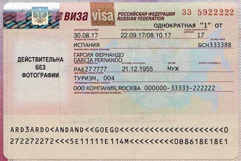 办护照所需要的材料_护照照片要求_护照_护照照片