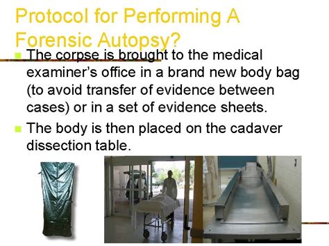 Image result for Compost Autopsy