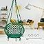 Swingzy Cotton Netted Rope Hanging Swing Chair for Adults & Kids/Swing ...