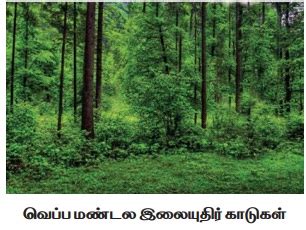 உயிரினச் சூழ்வாழிடங்களின் வகைகள் | Types of Biomes | in Tamil