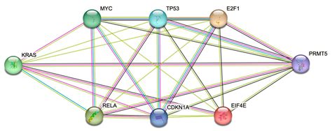 PRMT5 Inhibition as a Potential Strategy for KRAS Mutant CRC ...