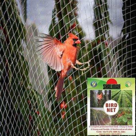 Shalimar Bird Net/Anti Bird Net/Pigeon Net/Garden Net UV Stabilised ...