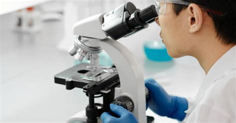Image result for A Person Inspecting Using Microscope