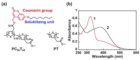 Noncovalent Functionalization of Single-Walled Carbon Nanotubes with a ...
