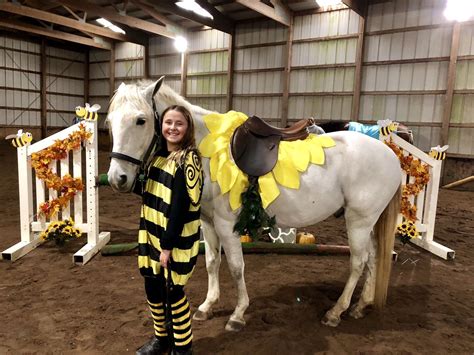 Sunflower horse costume | Horse costumes, Horse halloween costumes ...