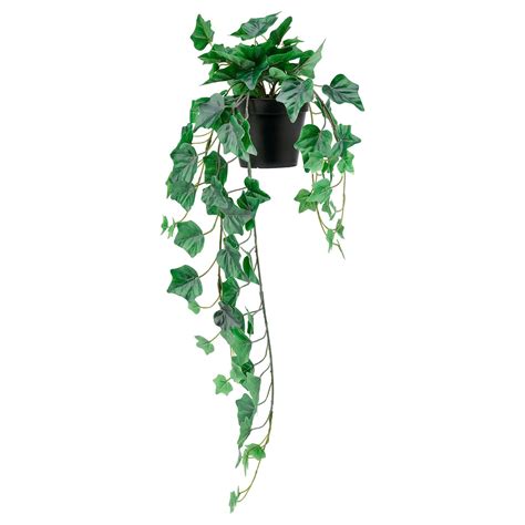 FEJKA artificial potted plant, in/outdoor/hanging Ivy, 12 cm (4 ¾") - IKEA