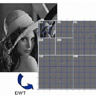 Image result for Discrete Wavelet Transform