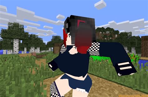 Image result for Minecraft Jene Mod