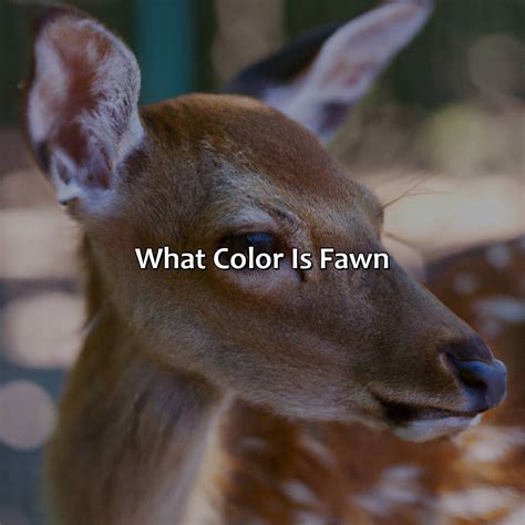 What Are The 3 Properties Of Color - colorscombo.com