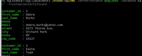 Invoke-Sqlcmd 的图像结果