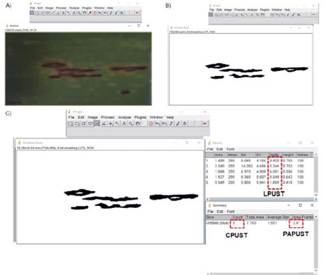 Image result for Image Processing Using ImageJ