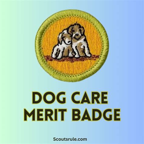 Music Merit Badge Guide - Scouts Rule