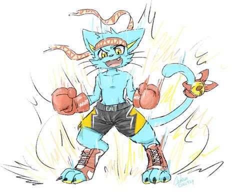 Image result for deviantART Boxing Cat Fight