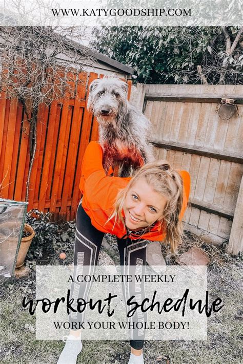 Example Workout Schedule 的图像结果